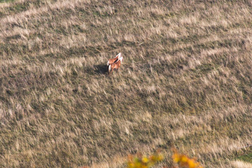 Das Lechtal im Herbst