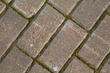 texture of paving stone tiles with moss background