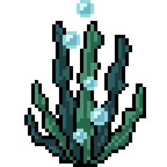 Fototapeta na wymiar vector pixel art seaweed