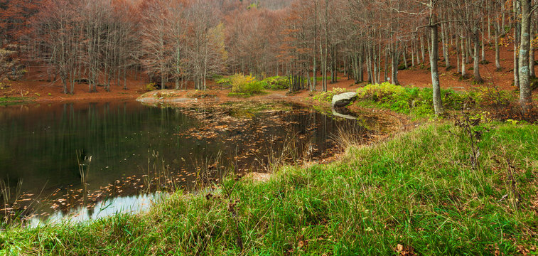 Immagine del Lago Cavone con in primo piano dell'erba verde