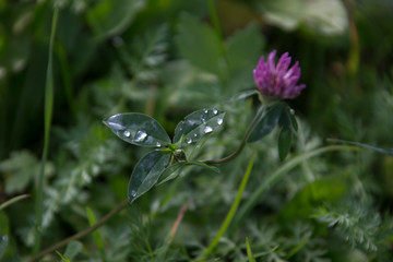 Das Lechtal im Herbst