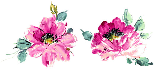 Flowers watercolor illustration.Manual composition.Big Set watercolor elements.