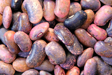 many colourfull beans, haricot close look. haricot bean