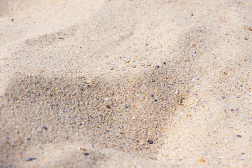 Fototapeta na wymiar sea sand on a sunny beach, close up