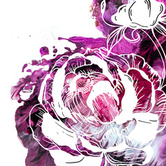 Obraz premium floral elements, romantic natural graphic drawn peony flowers, with watercolor textures