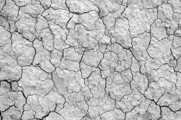 Dry cracked earth. Clay, sandy, dry soil in the desert under the sun. Without water