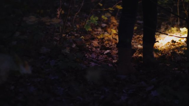 Rear view of Legs of a woman in boots walking along a forest trail, lit by the light of a flashlight