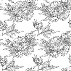 Fototapeta premium seamless pattern with colors of graphic peony. Botanical sketches