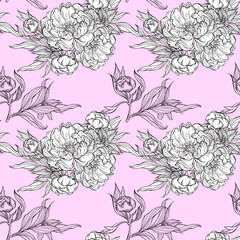 seamless pattern with colors of graphic peony. Botanical sketches