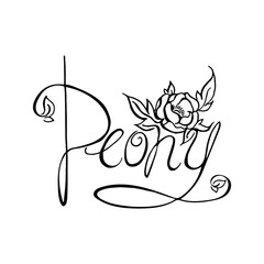 Bright painted watercolor compositions with peony flowers.