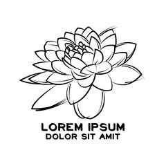 beautiful lotus flower blossom design logo vector