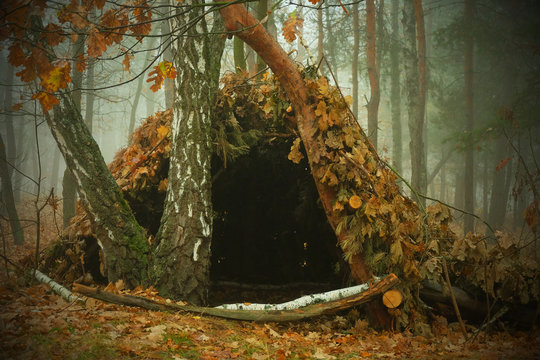 Hut of branches or wickiup or hovel of brushwood and twigs in the countryside. Made from trees, sticks and leaves