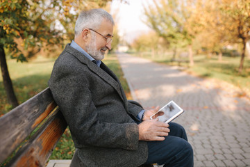 Obraz premium Handsome gray-haired elderly man with beautiful beard sitting on the bench and use tablet for scrolling in internet. Background of autumn tree