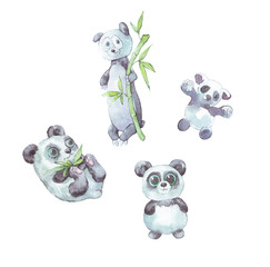 set of watercolor cartoon pandas