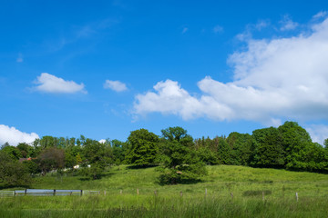 Wiesen und Wälder bei Montfaucon d'Argonne/Frankreich