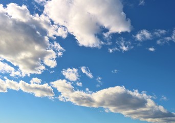 Obraz premium 空 雲 秋 杤木