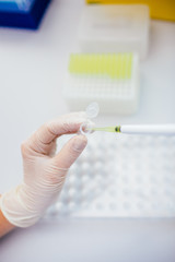 Pipette with several test tubes. Womans hand in white latex gloves in chemical laboratory filling the tube with the liquid. DNA test