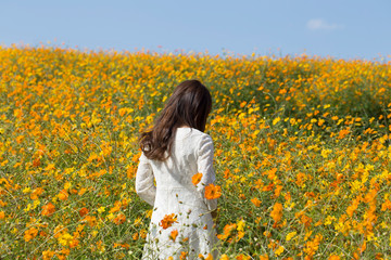 Fototapeta premium Sulfur cosmos (yellow cosmos) with a woman's back view