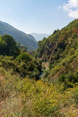 dense and green vegetation in the Poqueira river