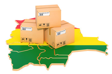 Parcels on the Bolivian map. Shipping in Bolivia, concept. 3D rendering