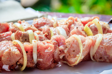 Meat skewers with onions on skewers. Charcoal meat.