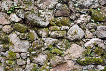 Texture of a stone wall with moss. Old castle stone wall background. Wall made of wild stone. Natural background.