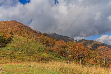 秋の天神平からみた風景