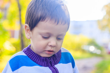 Portrait of a boy in a sweater . Little boy portrait. Beautiful child.