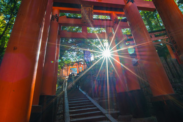 Torii gates in Fushimi Inari Shrine, Kyoto, Japan 