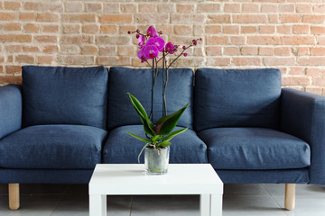 Living room table with orchid flowerpot. Purple orchid flower on the table in modern interior design.