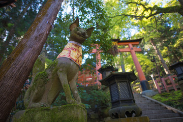 Torii gates in Fushimi Inari Shrine, Kyoto, Japan 