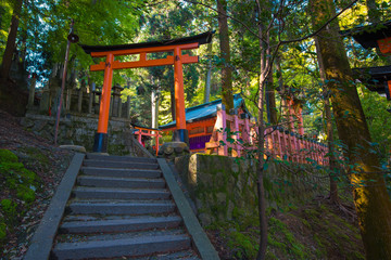 Fototapeta na wymiar Torii gates in Fushimi Inari Shrine, Kyoto, Japan 