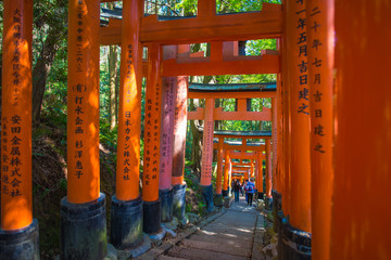 Torii gates in Fushimi Inari Shrine, Kyoto, Japan 