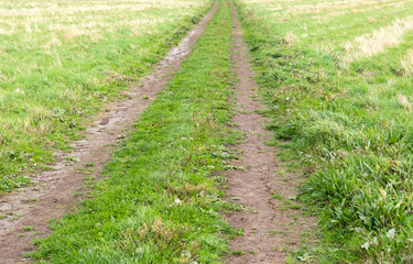 Fototapeta na wymiar Farm track crossing a grass field