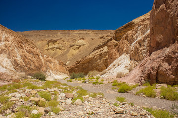 desert rocky canyon scenery landscape wilderness dry environment 