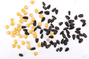 Yellow corn seeds and sunflower seeds on a white background, top view
