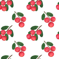 Seamless pattern Berries Cranberry branch leaves watercolor botanical illustration background wallpaper