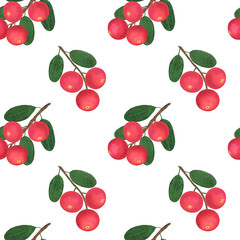 Seamless pattern Berries Cranberry branch leaves watercolor botanical illustration background wallpaper