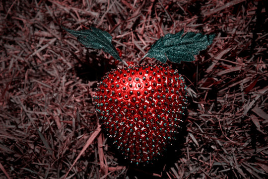 Strawberry Artificial Plastic Decoration.Strawberry for decoration artificial fruit ornaments artificial. Fake strawberry. Shiny imitation with red grass background. HD walpaper.