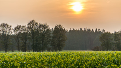 Obraz premium Sonnenuntergang im Herbst