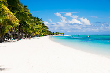 Tropical beach with palms, blue ocean and sky