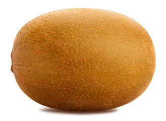 golden kiwi