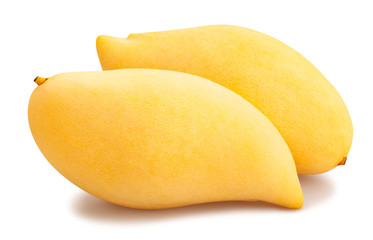 yellow mango