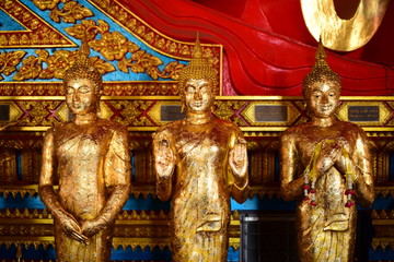 Fototapeta premium The golden Buddha image. Reverence in Buddhist sutras At Wat Luang Pothit, Thailand