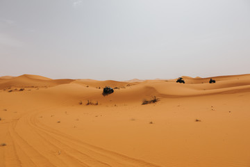 Fototapeta na wymiar Landscape with off road buggies crossing dunes in the desert. Rally raid adventure.