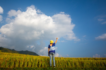 rear of woman stand at rice field with sunny day and blue sky. soft focus.