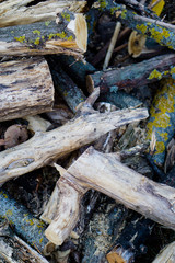 Firewood and logs in countryside house backyard