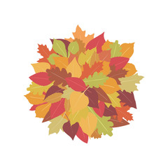 A pile of autumn leaves