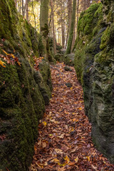 geheimnissevolle Landschaft des Druidenhaines in der Fränkischen Schweiz