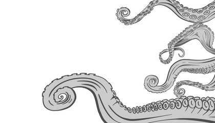 tentacles of an octopus. Hand drawn vector. isolated on white background.design with copy space.